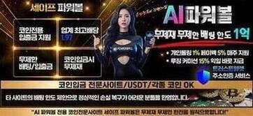 10 - 개인지갑 설치 안내 - AI파워볼 하는 방법 세계 정세의 불안정성 속에서 데이터를 보호하는 디지털 방어막과 AI 연산 모듈